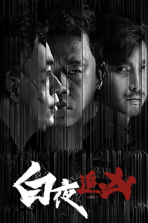 白夜追凶 海报